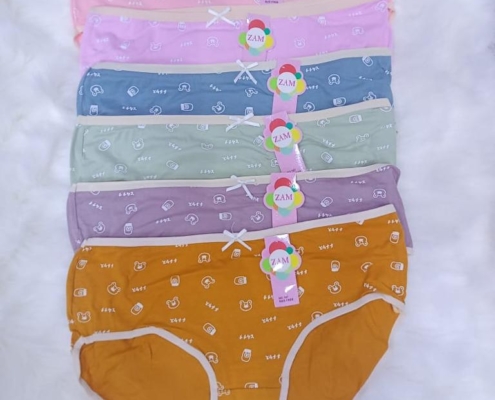 underwear_supply (50)