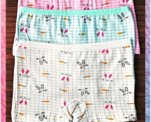 underwear_supply (52)